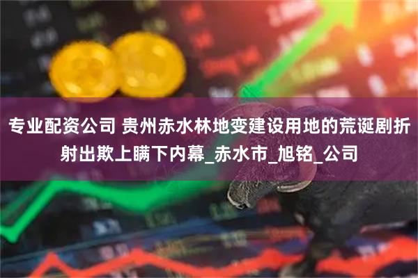 专业配资公司 贵州赤水林地变建设用地的荒诞剧折射出欺上瞒下内幕_赤水市_旭铭_公司